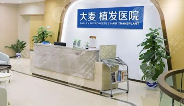 武汉大麦微针植发