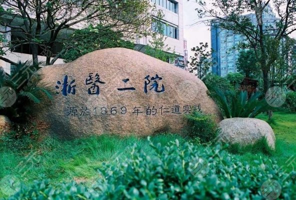 浙医二院植发好吗?坐诊医生_收费标准一览!附网友头顶加密经验 浙医二院植发好吗?坐诊医生_收费标准一览!附网友头顶加密经验