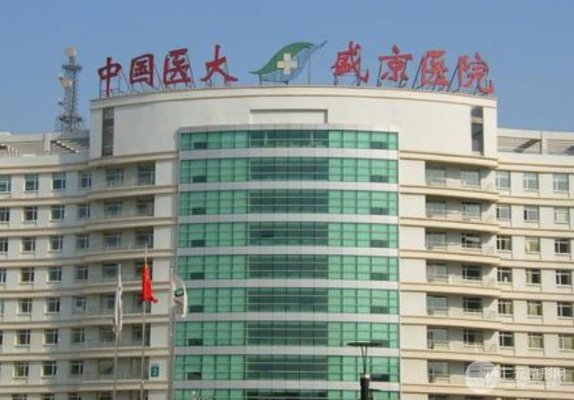 盛京医院整形美容科怎么样丨价格表2024丨耳软骨垫鼻尖术后果~