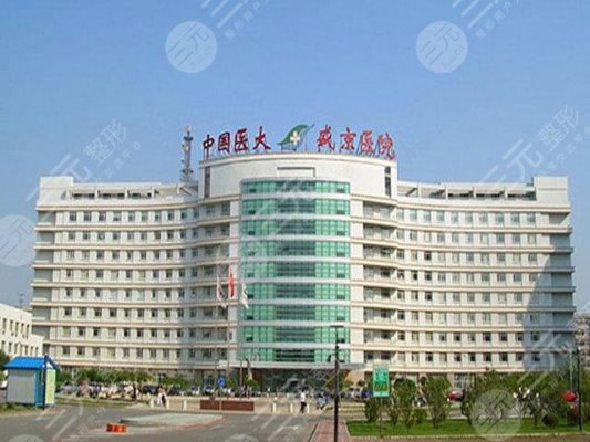沈阳盛京医院唇腭裂医生哪个技术好?专家技术介绍+特色项目 沈阳盛京医院唇腭裂医生哪个技术好?专家技术介绍+特色项目