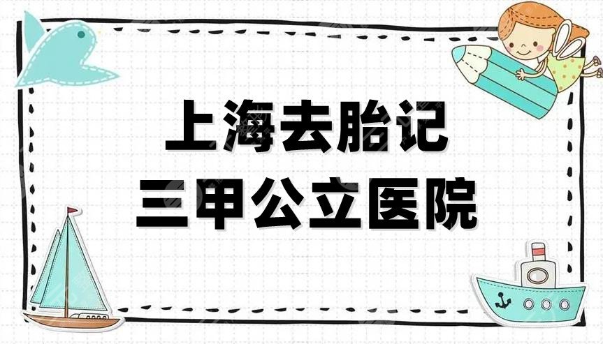 上海去胎记三甲公立医院