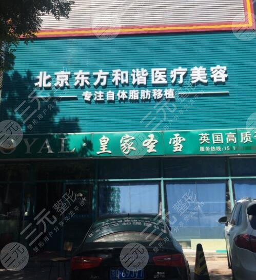 纯脂