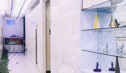 减肥必看|重庆吸脂医院排行榜:华美、美莱、艺星等技术均在线!附价格表 减肥必看|重庆吸脂医院排行榜:华美、美莱、艺星等技术均在线!附价格表