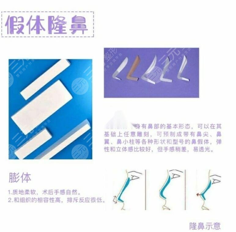 假体