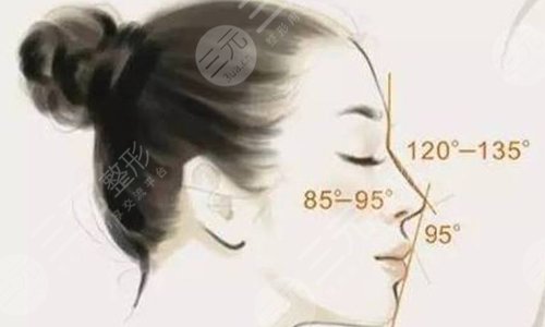 鼻部手术