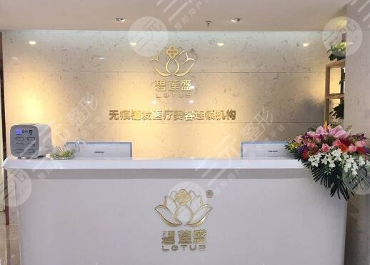 雍禾和碧莲盛哪个靠谱