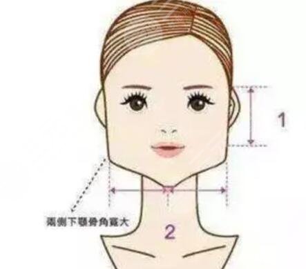 洪性范