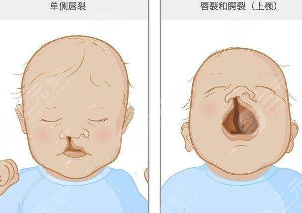开展项目/热门项目