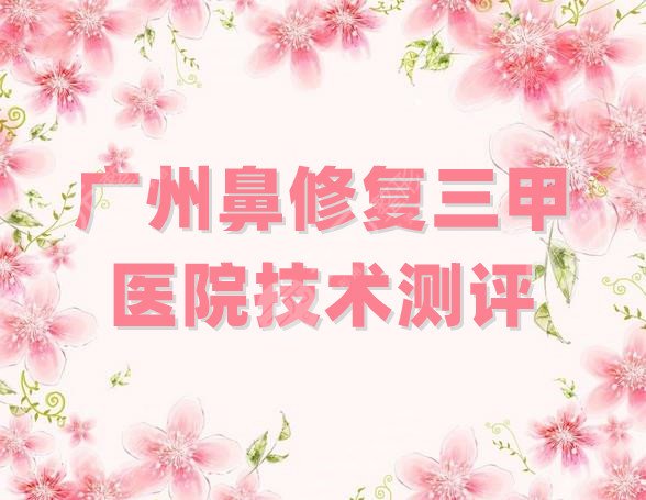 广州鼻修复三甲医院技术测评