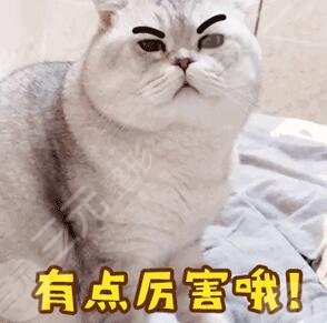 九院做鼻子挂什么科？隆鼻专家TOP3王毅敏、林晓曦、王炜口碑爆表，审美风格