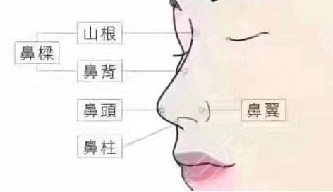 上海九院整复外科特色项目