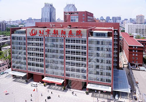 首都医科大学附属北京朝阳医院
