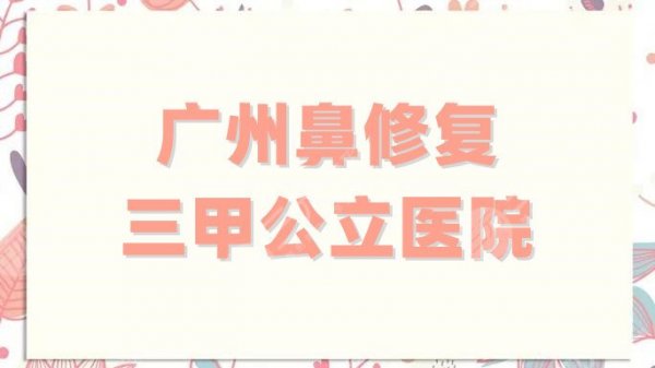 广州鼻修复三甲公立医院名单整理，中山一院位列其中，实力不容小觑！