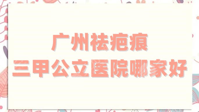 广州祛疤痕三甲公立医院