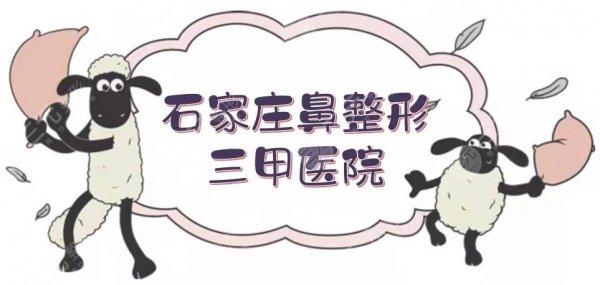 石家庄鼻整形三甲医院|哪家好?5家整鼻子厉害的科室介绍!附价格表~ 石家庄鼻整形三甲医院|哪家好?5家整鼻子厉害的科室介绍!附价格表~